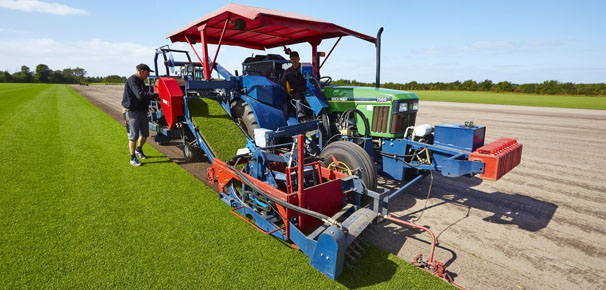 ProTurf Plus skæres på produktionssted ved Ribe